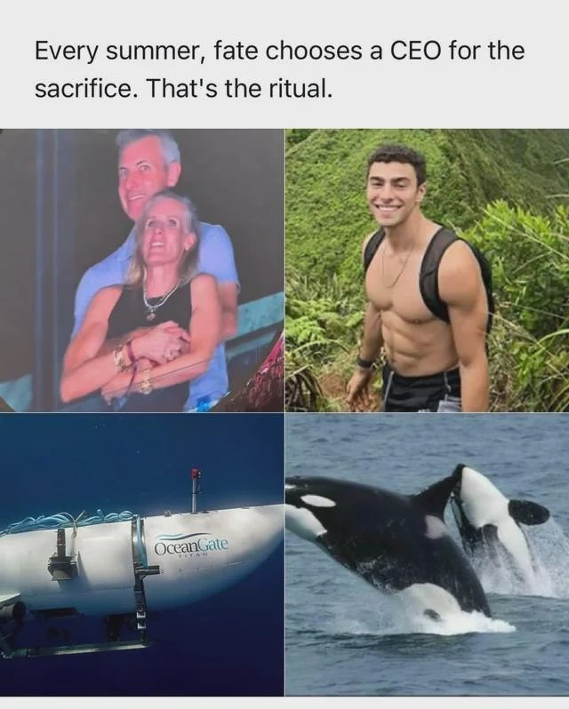 In the picture is written "Every summer, fate chooses a CEO for the sacrifice. That's the ritual. Seen among others Luiggi Mangione.