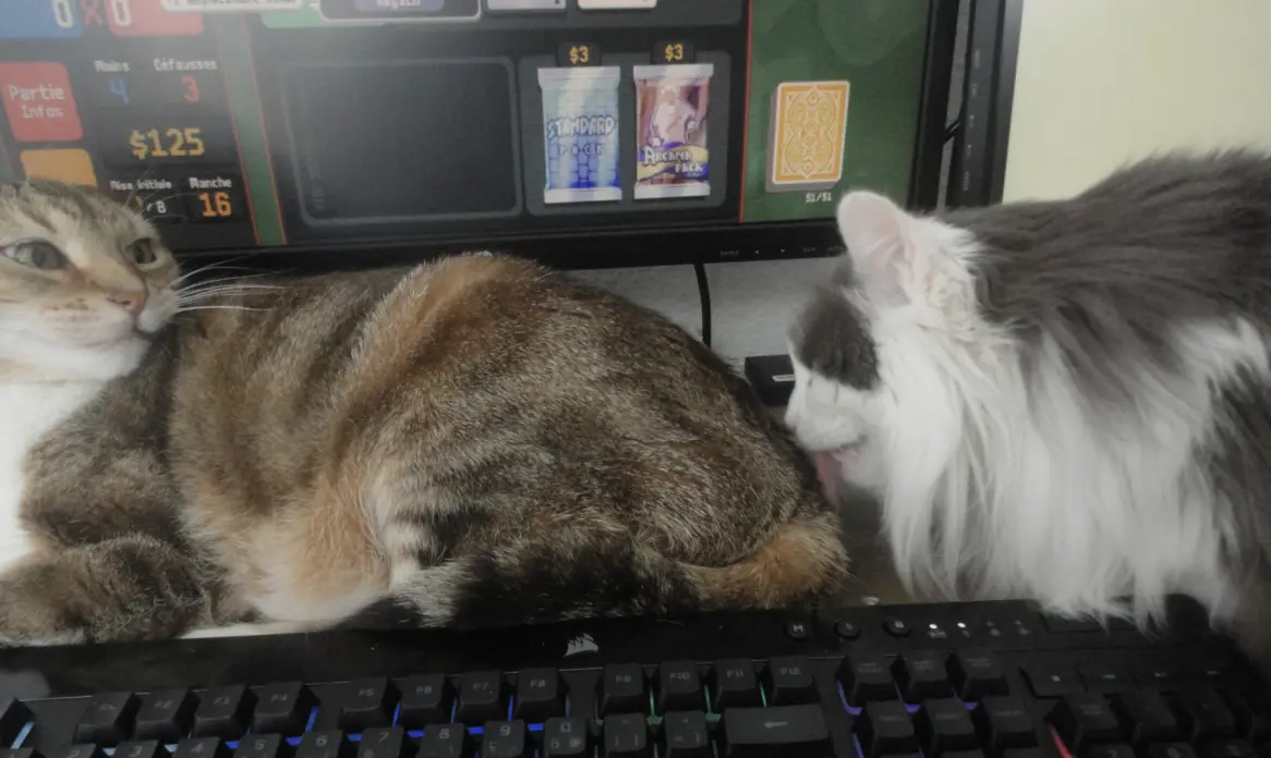A big fluffy cat licks the tail of a tabby cat, both between a keyboard and a screen. The tabby cat's head is turned towards the other cat, looking surprised and angry.