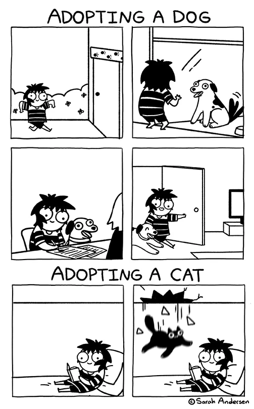 Sarah Anderson's Comic: Adopting a dog vs Adopting a cat. Owner involved in a 4 step process for Pupper❤️. Cat: "Aight where we dropping?" Human: Exists, Instantneous later Cat: crashes through ceiling🤘