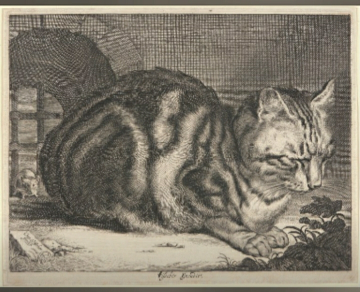 Screenshot_20251013-051434_Arts & Culture