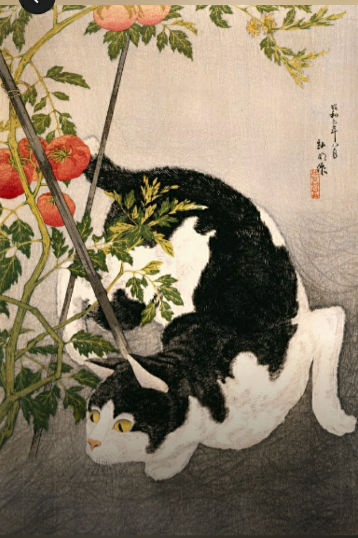 Screenshot_20251013-051628_Arts & Culture