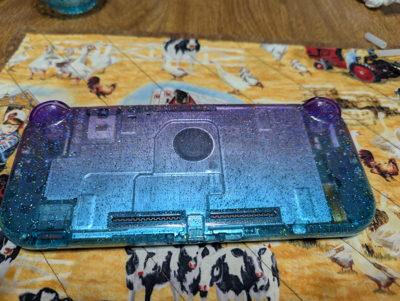 backside of switch