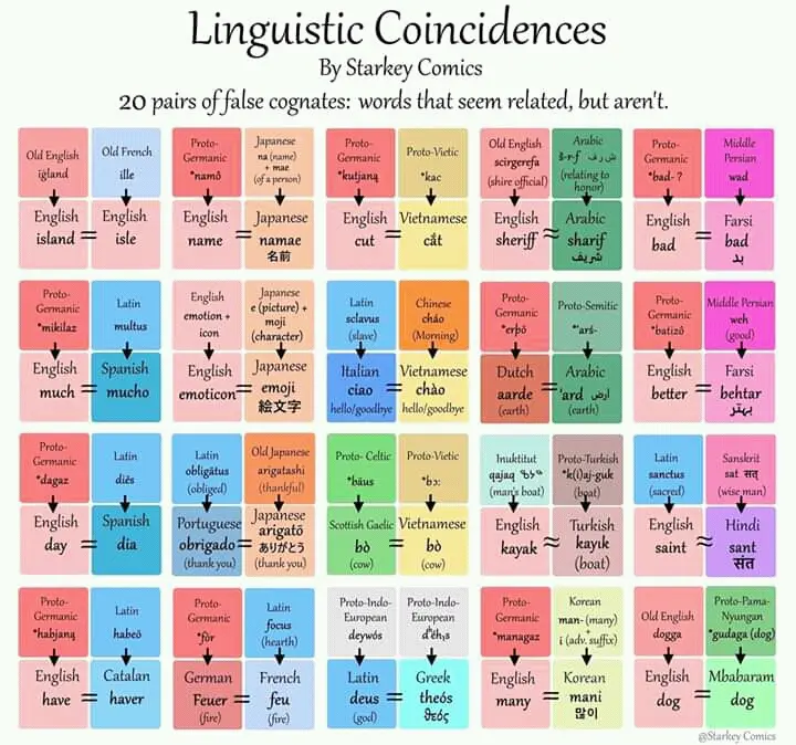 Linguistic coincidences