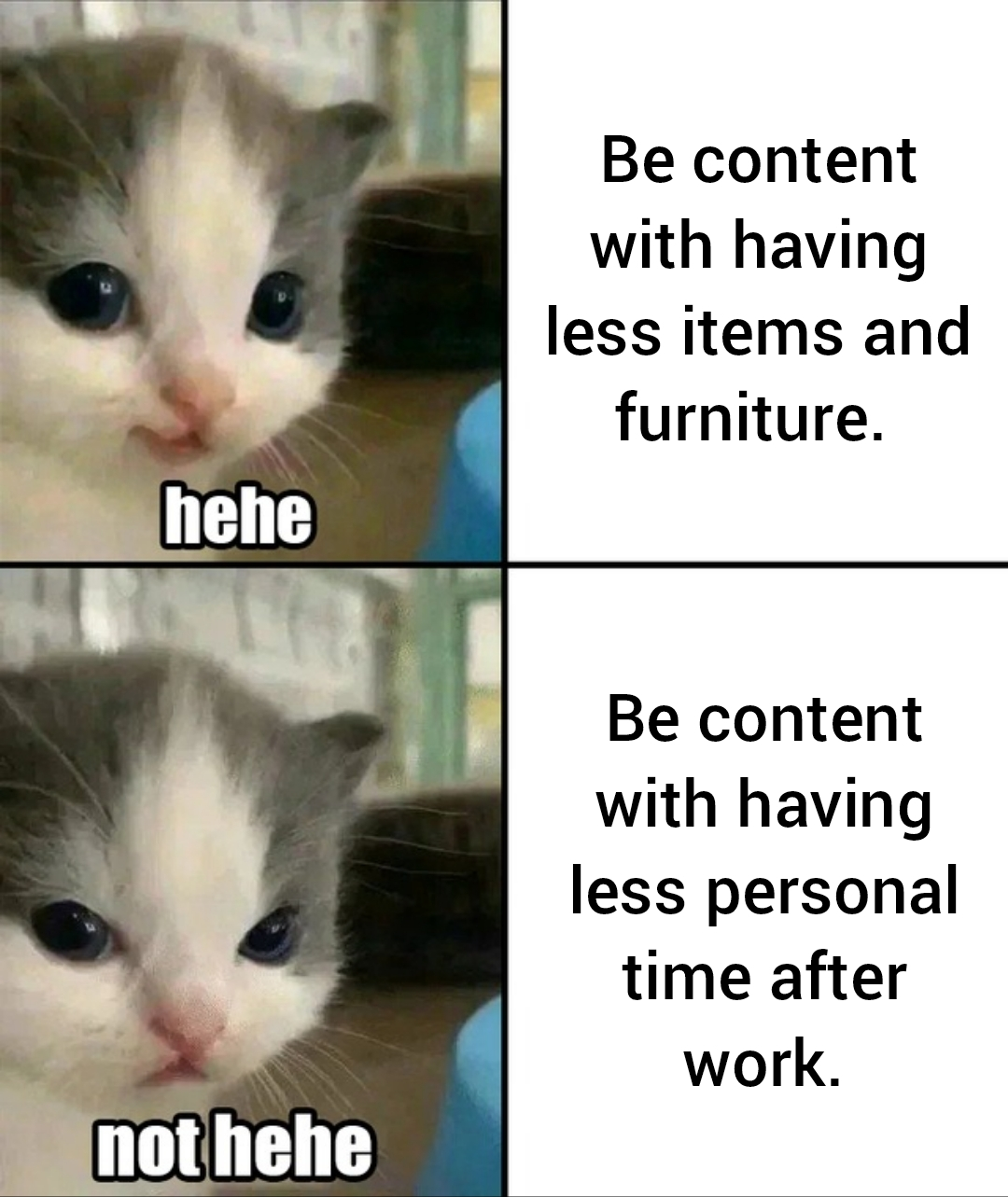 The cat likes being content with less items and furniture, but the cat also gets mad at having to be content with less personal time. Presumibly it just likes to sleep in those pesonal times, as the cat is a baby.