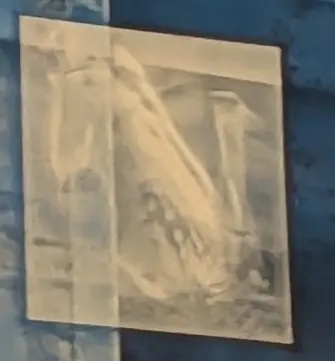 A crop of the previous comment's image showing where I believe the frog to be.