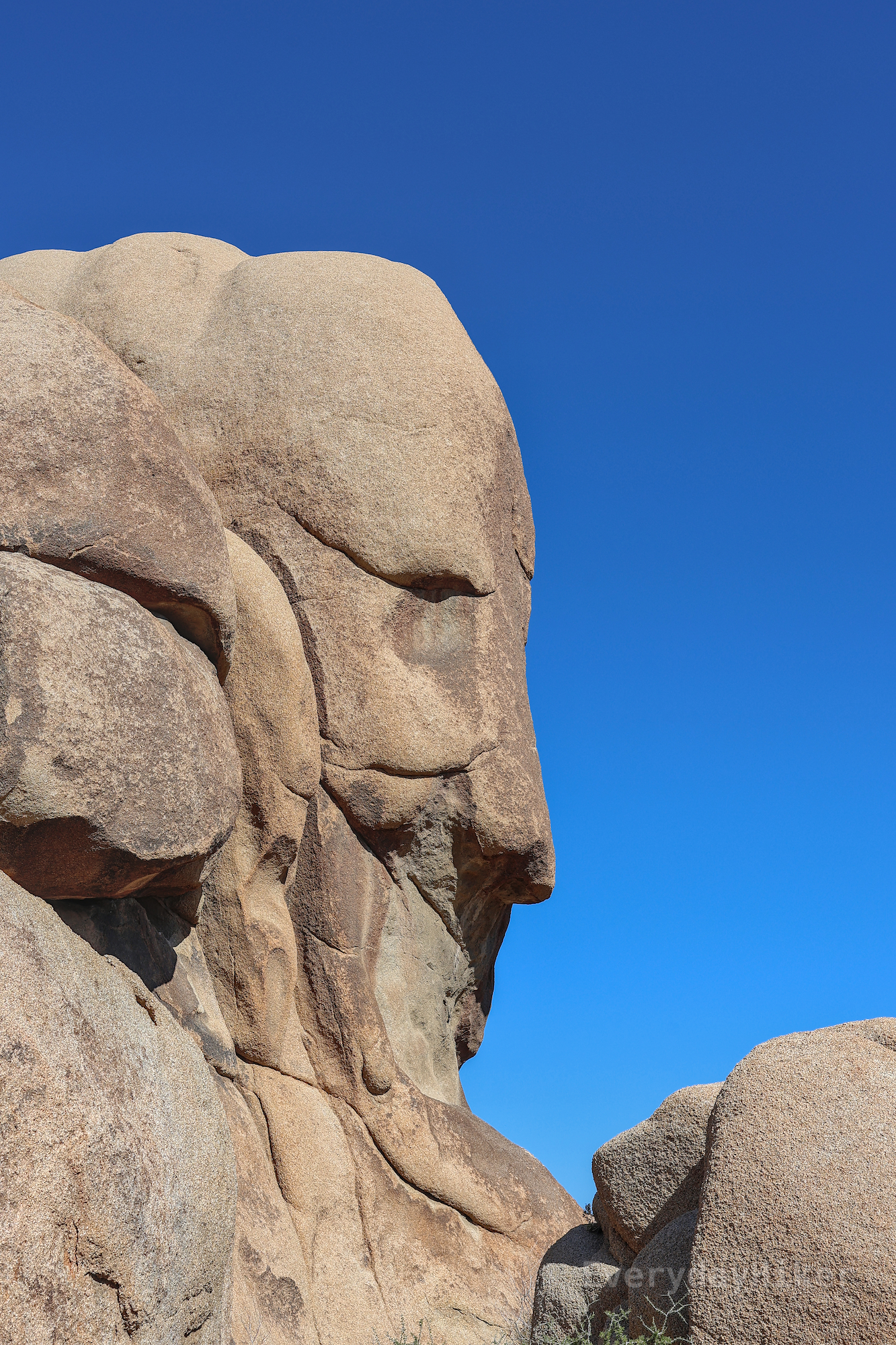 A view of Face Rock in profile. Out of all of the face and man-named geologic features I've seen, this is the most clearly defined one.