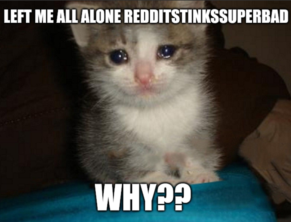 1000004636