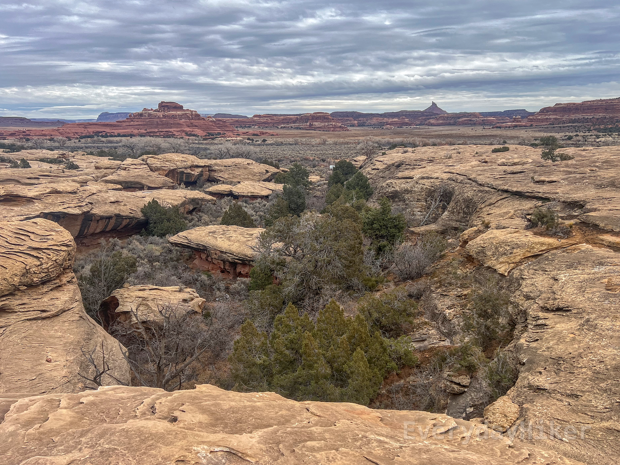 A view from the upper area of the cove below, with Pinnacle Point in the distance as well as a closer Butte. On the left rock wall, deep colored streaks may be seen on the walls, that appears to be from mosses/algae staining the walls when water was present.