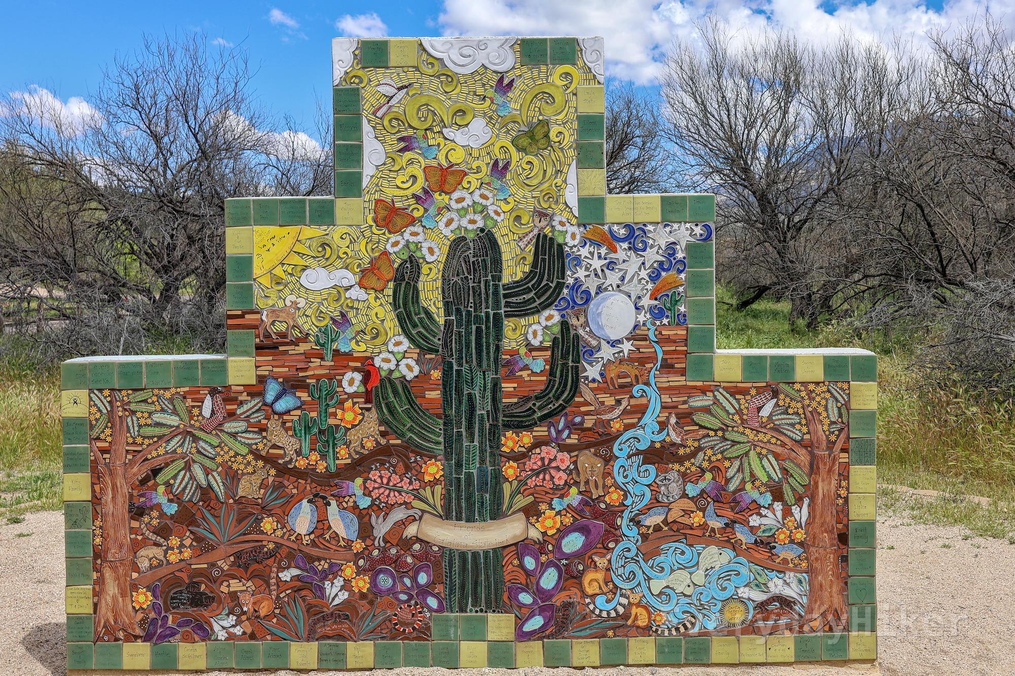 An artistic mural located at the beginning of the trail. The center of the mural sports a multi-armed Saguaro, while around it are multiple desert animals drawn in a playful style. The sun and the moon may be seen in the upper portions of the mural.