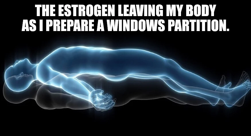 The estrogen leaving my body as I prepare a windows partition
