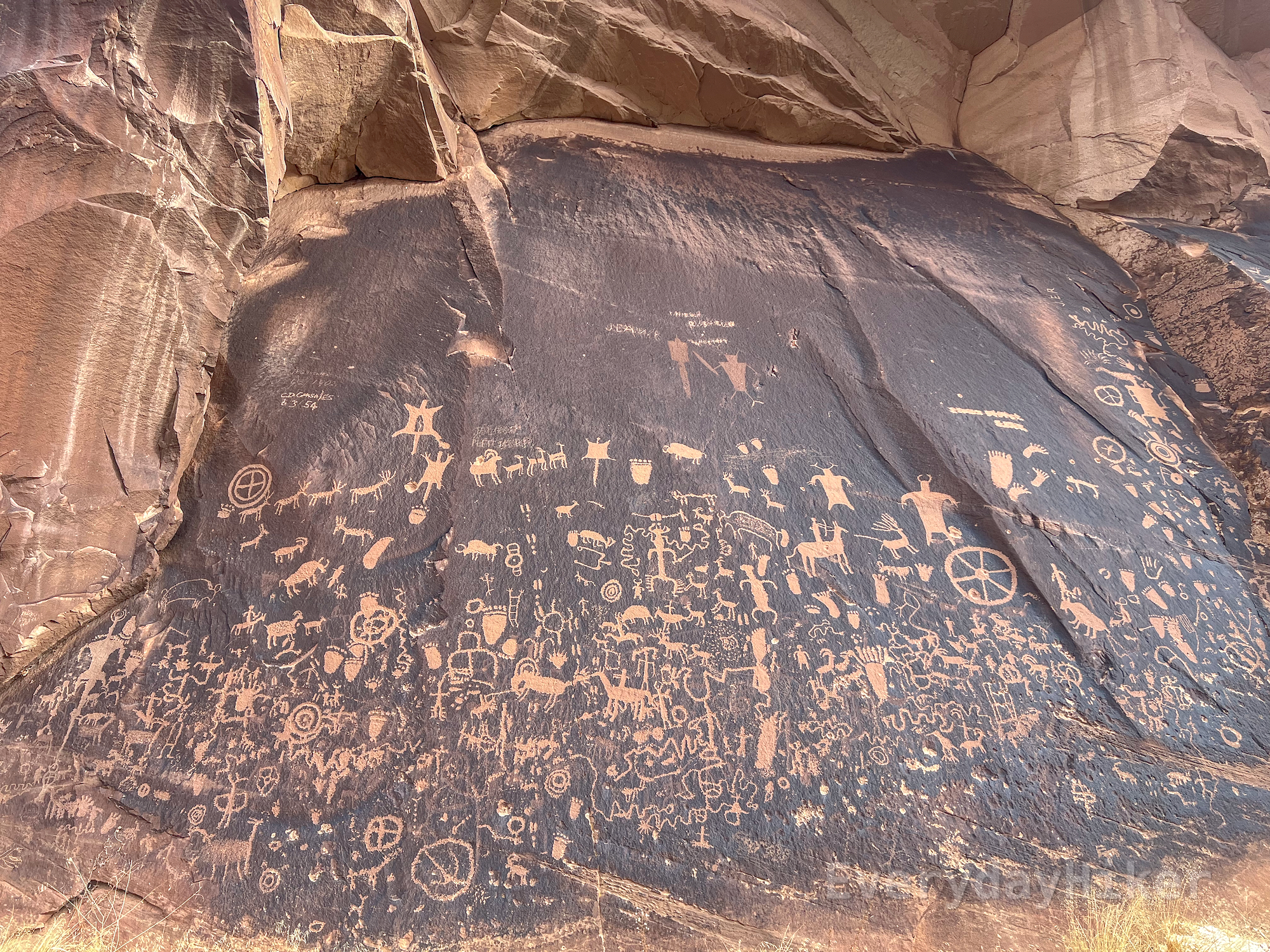 A view of Newspaper Rock in full, displaying a variety of petroglyphs depicting animals; including snakes, sheep, deer, bear paws, turtles/tortoises, antelope, and others, as well as a few figures on horseback and some symbols including at least one apparent wagon wheel.