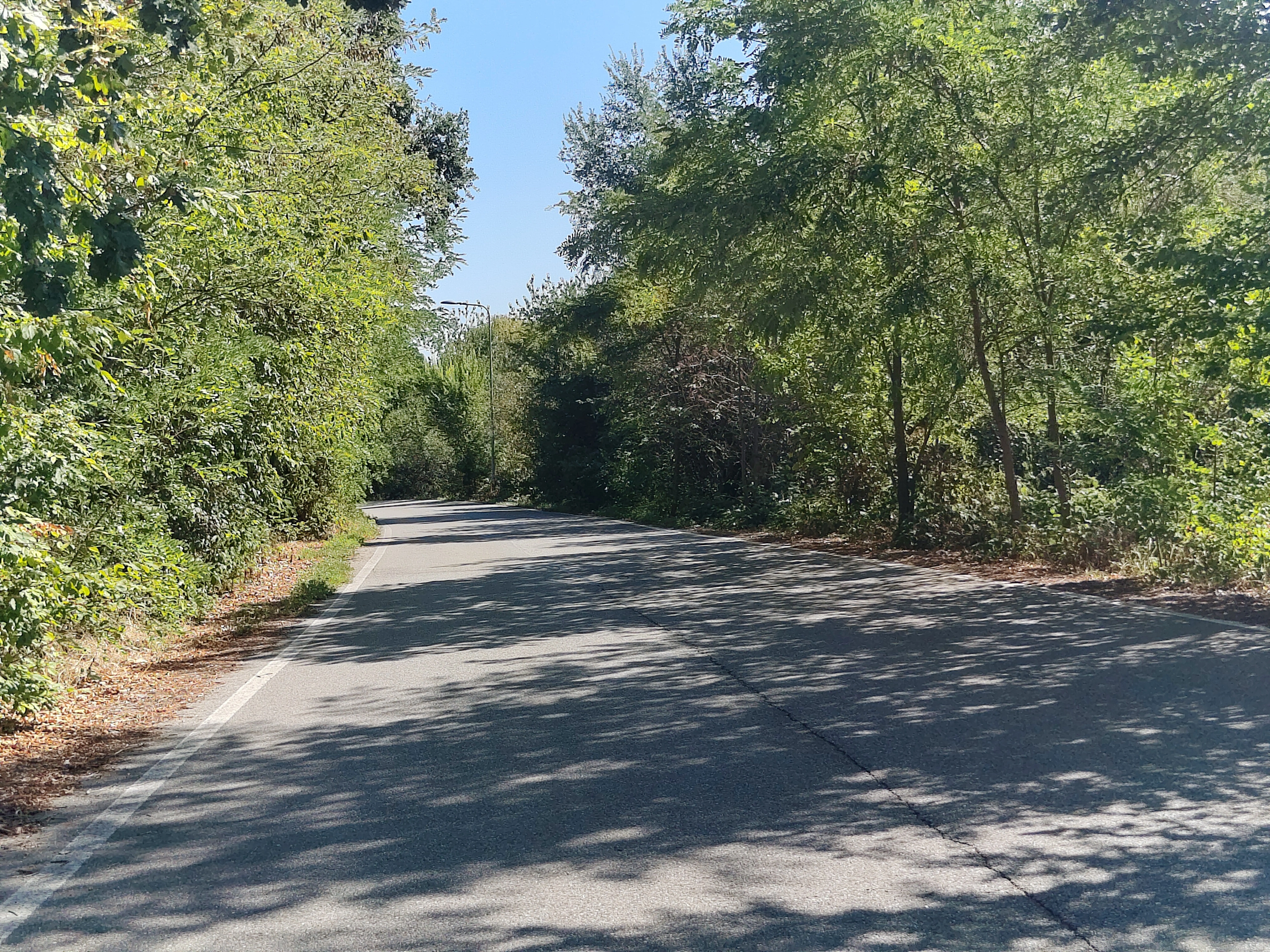 The road