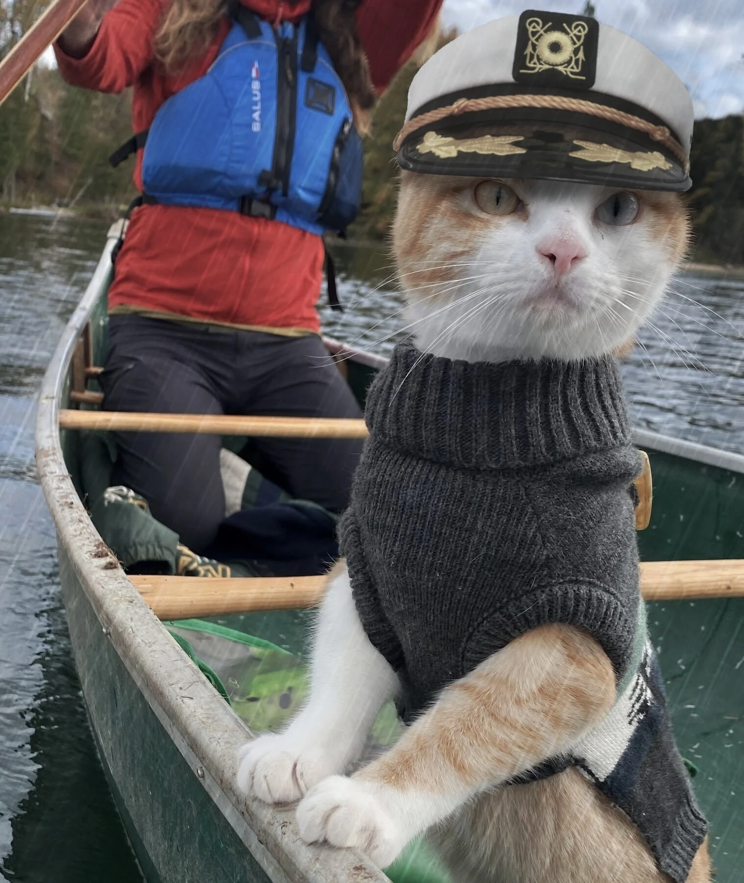 OP's cat with a boat captain's hat