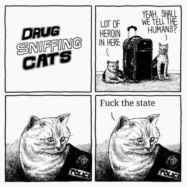 VNNL4FflU1ShGdD.jpg