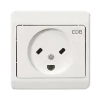 Danish computer equipment outlet with asymmetrically tilted prongs and half-circular ground (mainly used in professional environment). Nicknamed "dumb face sockets" in Denmark