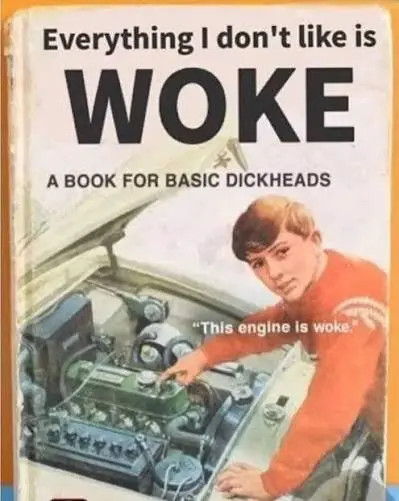 This engine is woke. A book for dick heads.
