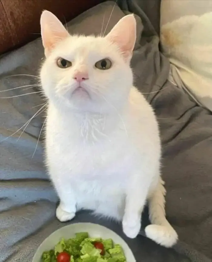 10312